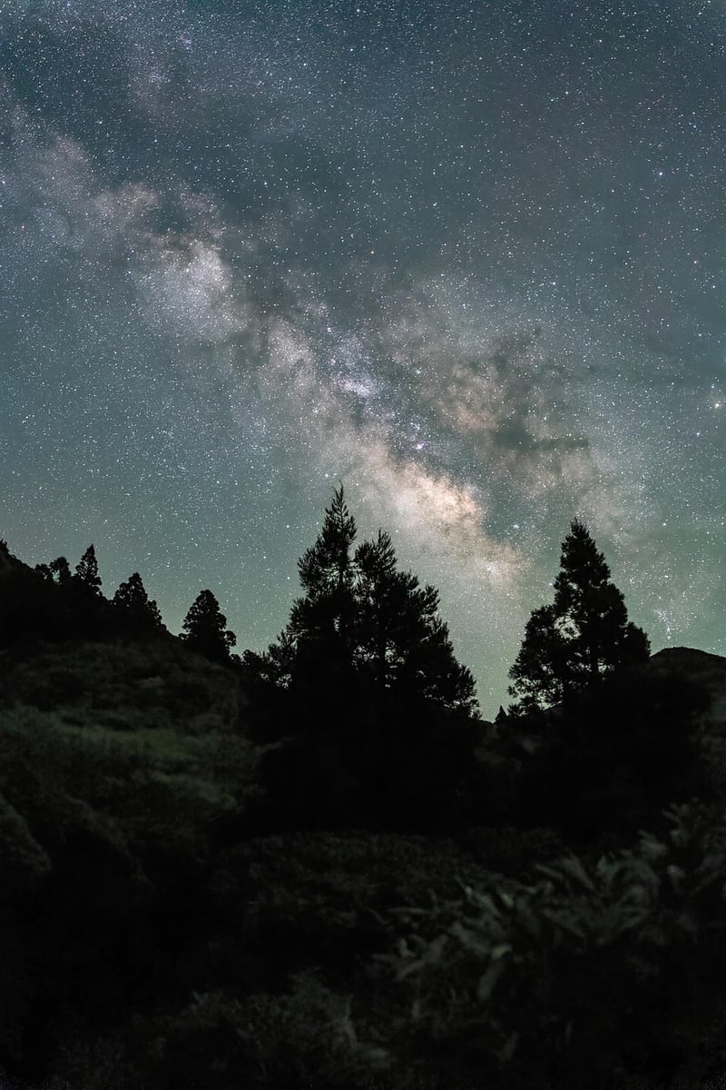 Milky Way Cocktails